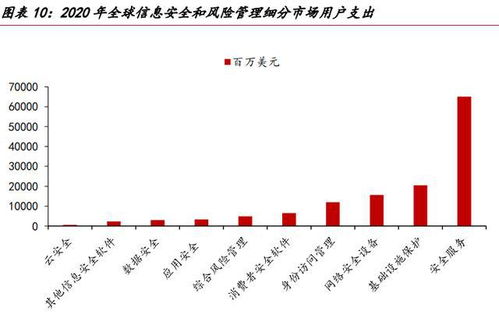 網絡安全的未來在于服務 網絡與信息安全軟件開發(fā)的發(fā)展趨勢